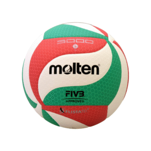 Molten Volley Ball V5M5000