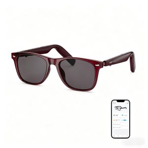 Get D AI Glasses