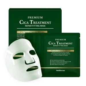 WELLDERMA Cica Treatment Hydrogel Fitting Mask, 25 G X 4 Sheets